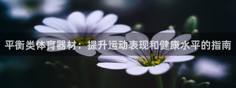凯时登录平台去AG发财网