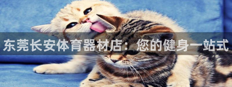 尊龙凯时是正规平台吗