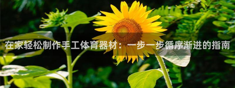 尊龙凯时-人生就是博中国官网最新：在家轻松制作手工体