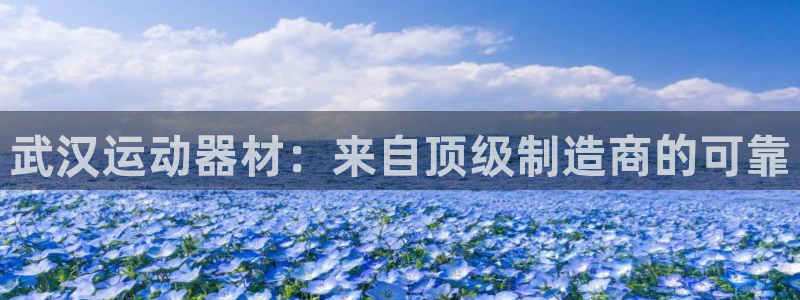 尊龙官网网页版：武汉运动器材：来自顶级制造商的可靠