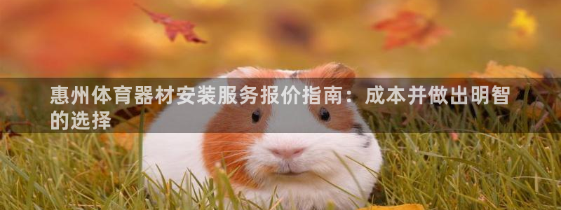 凯时kb88会员登录：惠州体育器材安装服务报价指南：