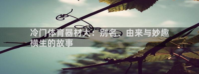 尊龙凯时赢不了：冷门体育器材大：别名、由来与妙趣
横
