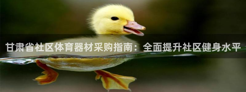 凯时国际app登录：甘肃省社区体育器材采购指南：全面