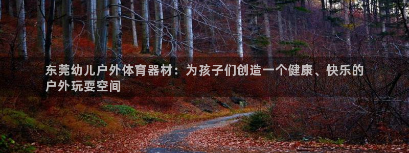 尊龙人生就是博登录网址下载：东莞幼儿户外体育器材：为