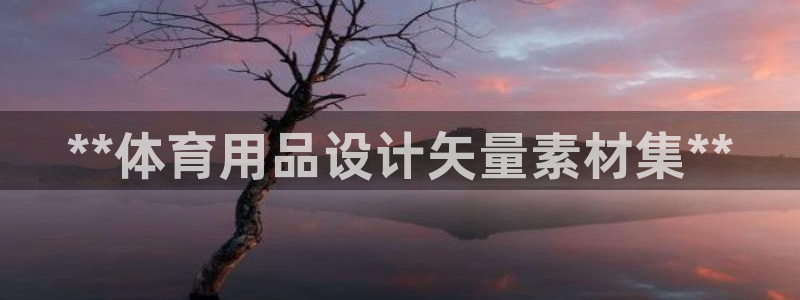 尊龙网页：**体育用品设计矢量素材集**