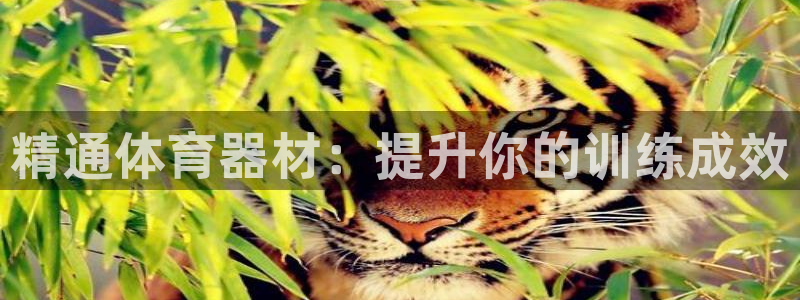 尊龙凯时新闻：精通体育器材：提升你的训练成效