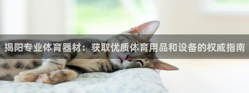 尊龙人生就是博客服：揭阳专业体育器材：获取优质体育用