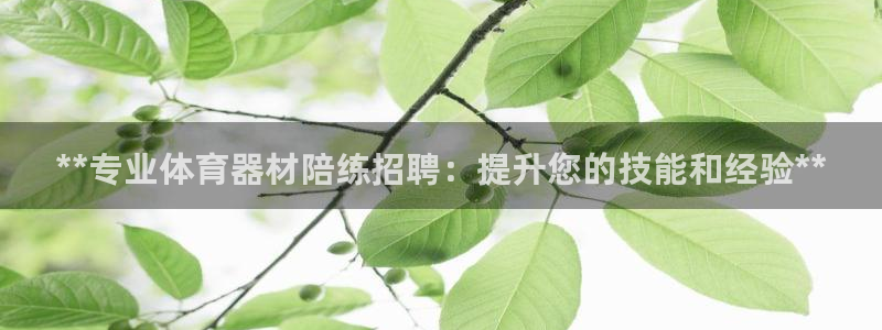 尊龙凯时账号异常审核提不了款怎么办：**专业体育器材