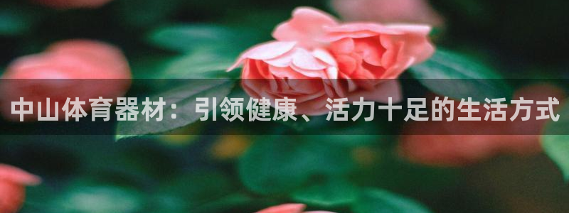 尊龙平台登录：中山体育器材：引领健康、活力十足的生活