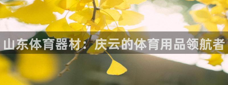 尊龙凯时提款一直审核中：山东体育器材：庆云的体育用品