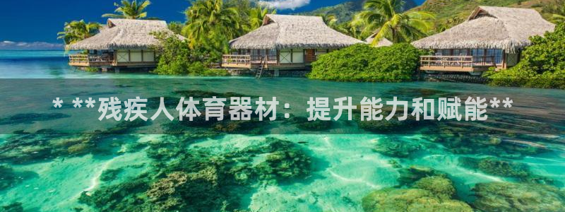 尊龙凯时家居是品牌吗：* **残疾人体育器材：提升能