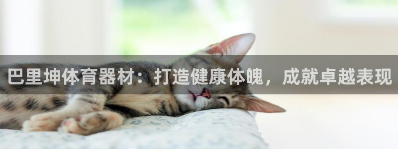 尊龙现金推荐ag发财网：巴里坤体育器材：打造健康体魄