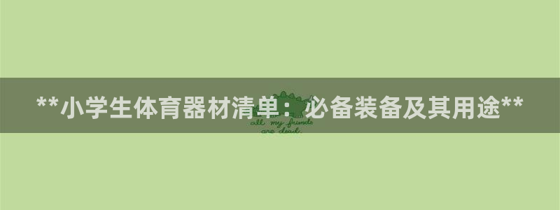 凯时kb88官网网址：**小学生体育器材清单：必备装