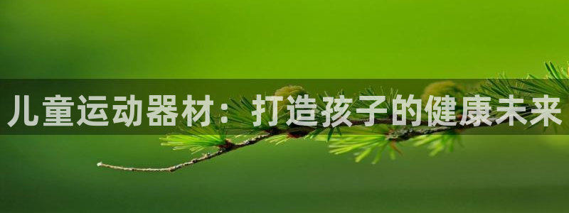 尊龙集团有限公司招聘：儿童运动器材：打造孩子的健康未