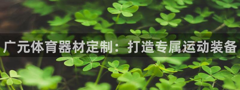 尊龙凯时新闻：广元体育器材定制：打造专属运动装备