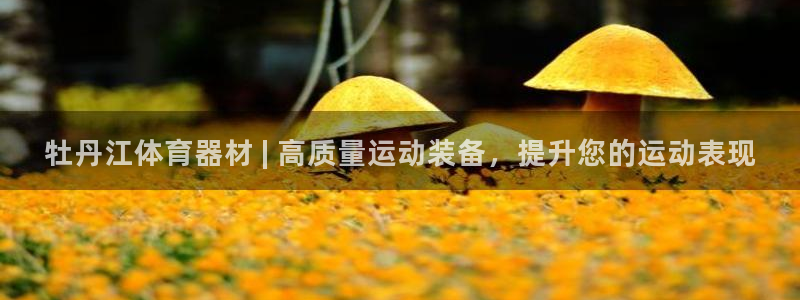 尊龙-人生就是博：牡丹江体育器材 | 高质量运动装备