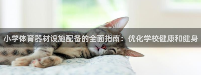 尊龙凯时logo：小学体育器材设施配备的全面指南：优