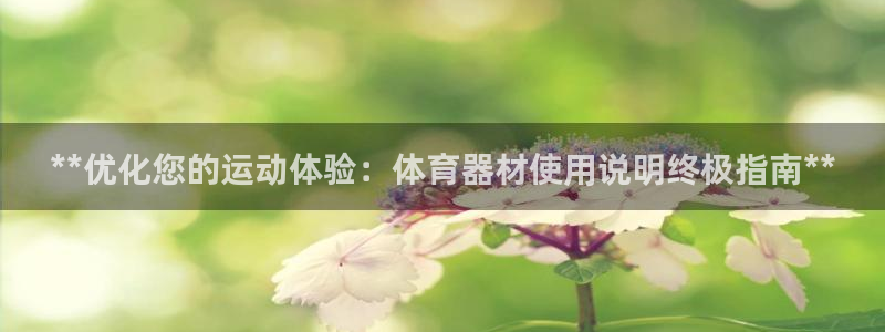 d88尊龙官方网：**优化您的运动体验：体育器材使用