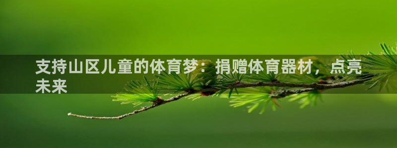尊龙官方身高：支持山区儿童的体育梦：捐赠体育器材，点