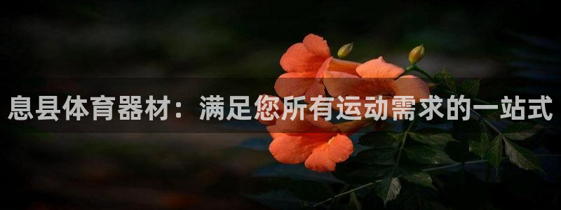 尊龙集团有限公司官网地址：息县体育器材：满足您所有运