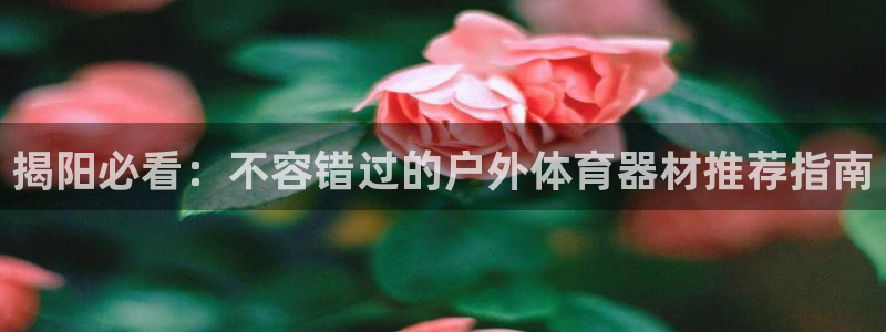 尊龙这个平台怎么样：揭阳必看：不容错过的户外体育器材