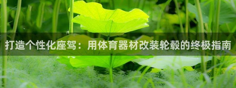 尊龙人生就是博：打造个性化座驾：用体育器材改装轮毂的