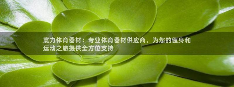 尊龙凯时正规吗：寰力体育器材：专业体育器材供应商，为