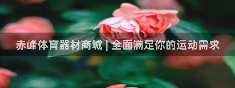 尊龙凯时取钱很慢：赤峰体育器材商城 | 全面满足你的