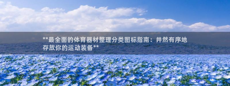 凯时官网：**最全面的体育器材整理分类图标指南：井然