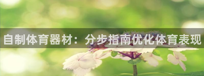 尊龙人生就是博旧版：自制体育器材：分步指南优化体育表