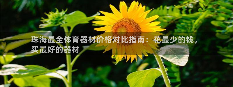 尊龙官网注册：珠海最全体育器材价格对比指南：花最少的
