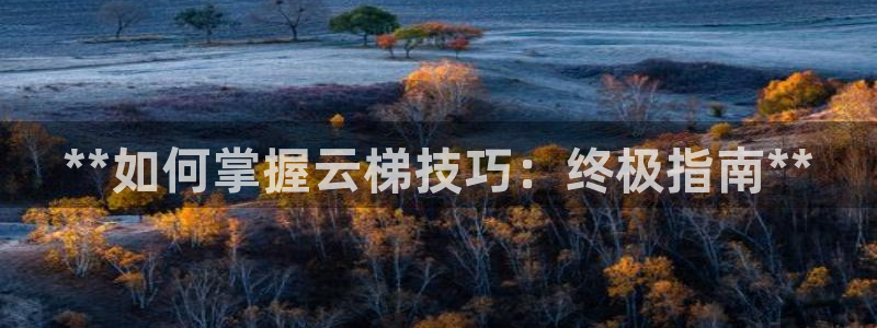 尊龙官网/首选kpm：**如何掌握云梯技巧：终极指南