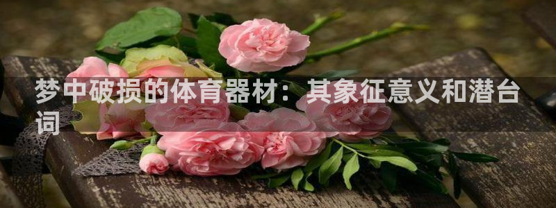 尊龙凯时人生就是博·(中国)官网官：梦中破损的体育器