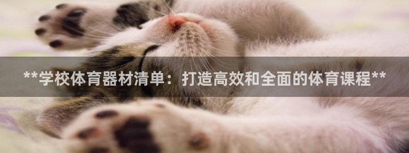 尊龙手机端下载：**学校体育器材清单：打造高效和全面
