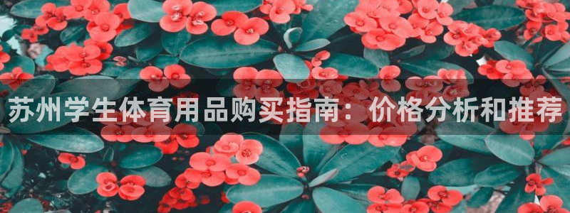 尊龙 ag：苏州学生体育用品购买指南：价格分析和推荐