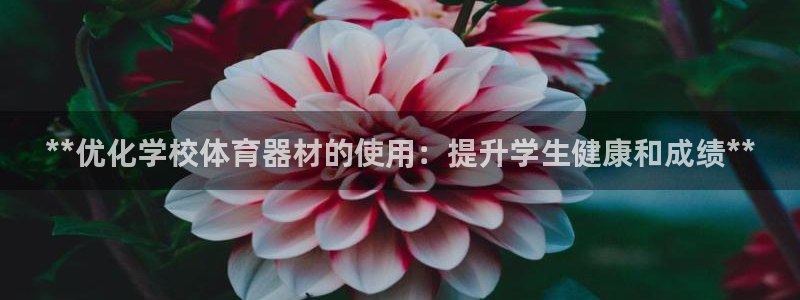 z6com尊龙凯时：**优化学校体育器材的使用：提升