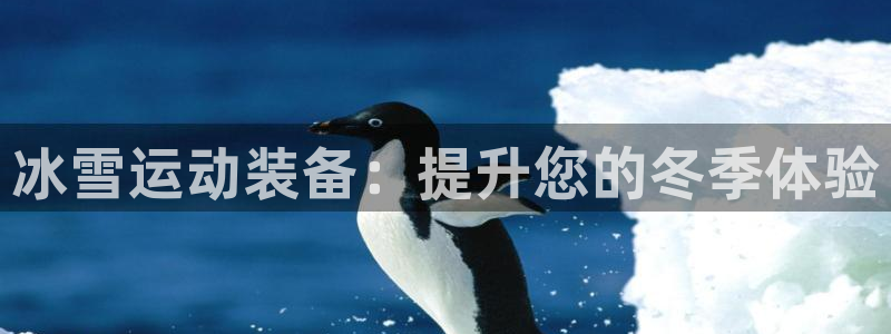 尊龙凯时网站怎么样：冰雪运动装备：提升您的冬季体验