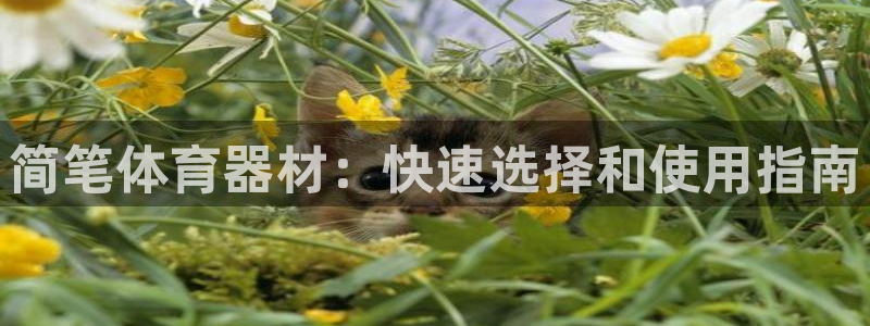 尊龙官方APP下载：简笔体育器材：快速选择和使用指南