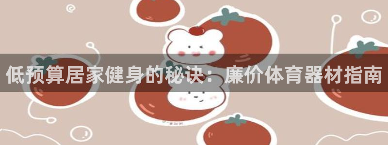 尊龙 6：低预算居家健身的秘诀：廉价体育器材指南