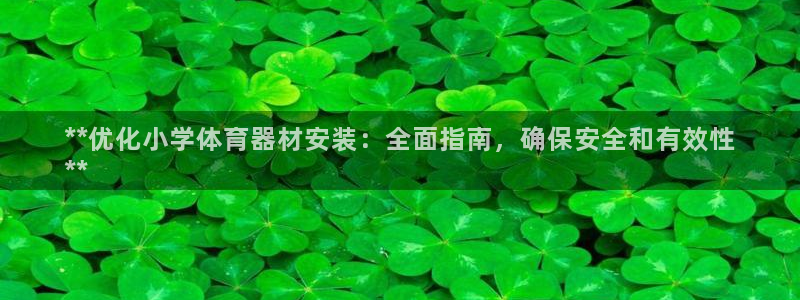 尊龙凯时人生就是博·(中国)：**优化小学体育器材安