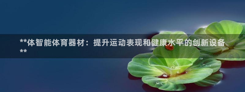 尊龙凯时是直营吗：**体智能体育器材：提升运动表现和