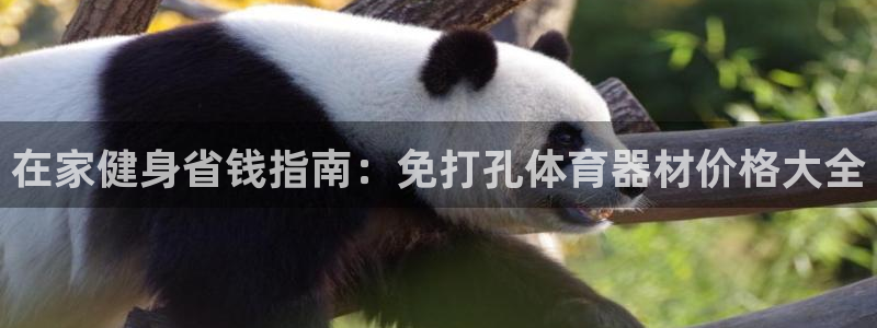 凯时官网app下载官方网站：在家健身省钱指南：免打孔