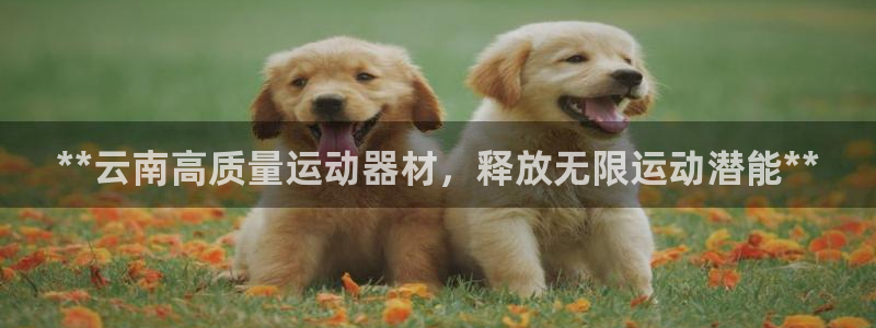 凯时最新官方APP下载：**云南高质量运动器材，释放