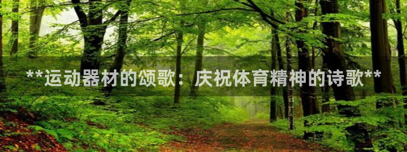 尊龙新版app：**运动器材的颂歌：庆祝体育精神的诗