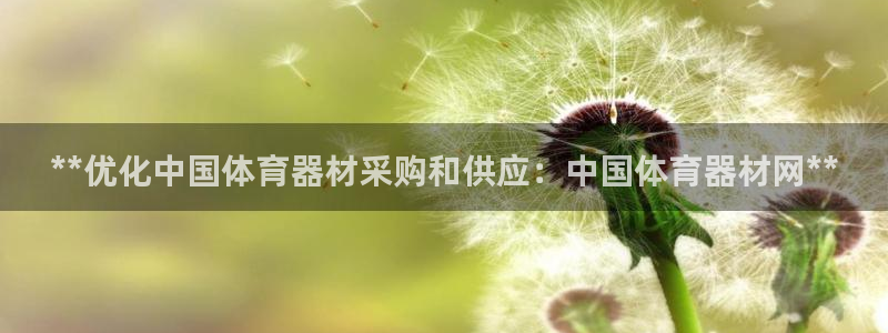 尊龙公司：**优化中国体育器材采购和供应：中国体育器