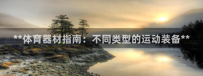 尊龙官方网站：**体育器材指南：不同类型的运动装备*