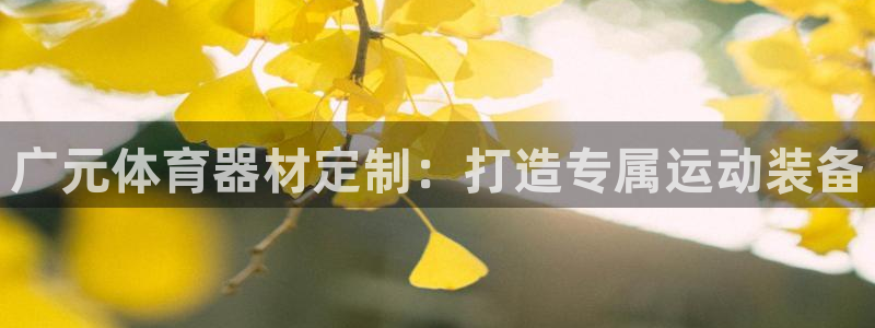 尊龙网站 人生就是博：广元体育器材定制：打造专属运动