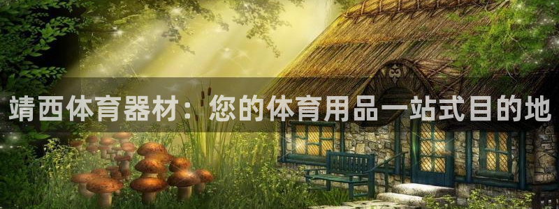 尊龙人生就是博菲律宾台子：靖西体育器材：您的体育用品