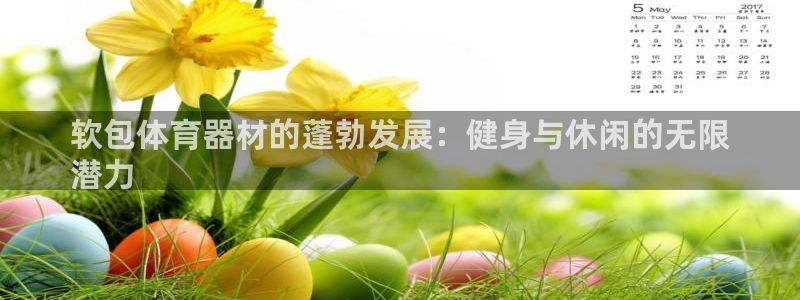 尊龙登录地址：软包体育器材的蓬勃发展：健身与休闲的无