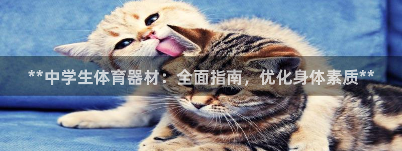 尊龙游戏官网：**中学生体育器材：全面指南，优化身体